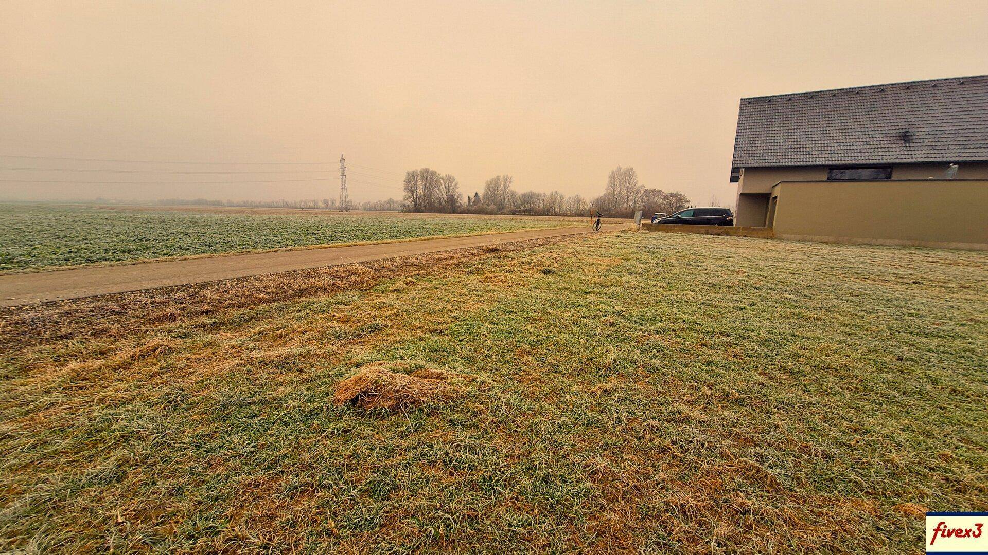 Weitläufiges Feld mit einem Feldweg, einem Haus und Stromleitungen am Horizont unter einem dunstigen Himmel.