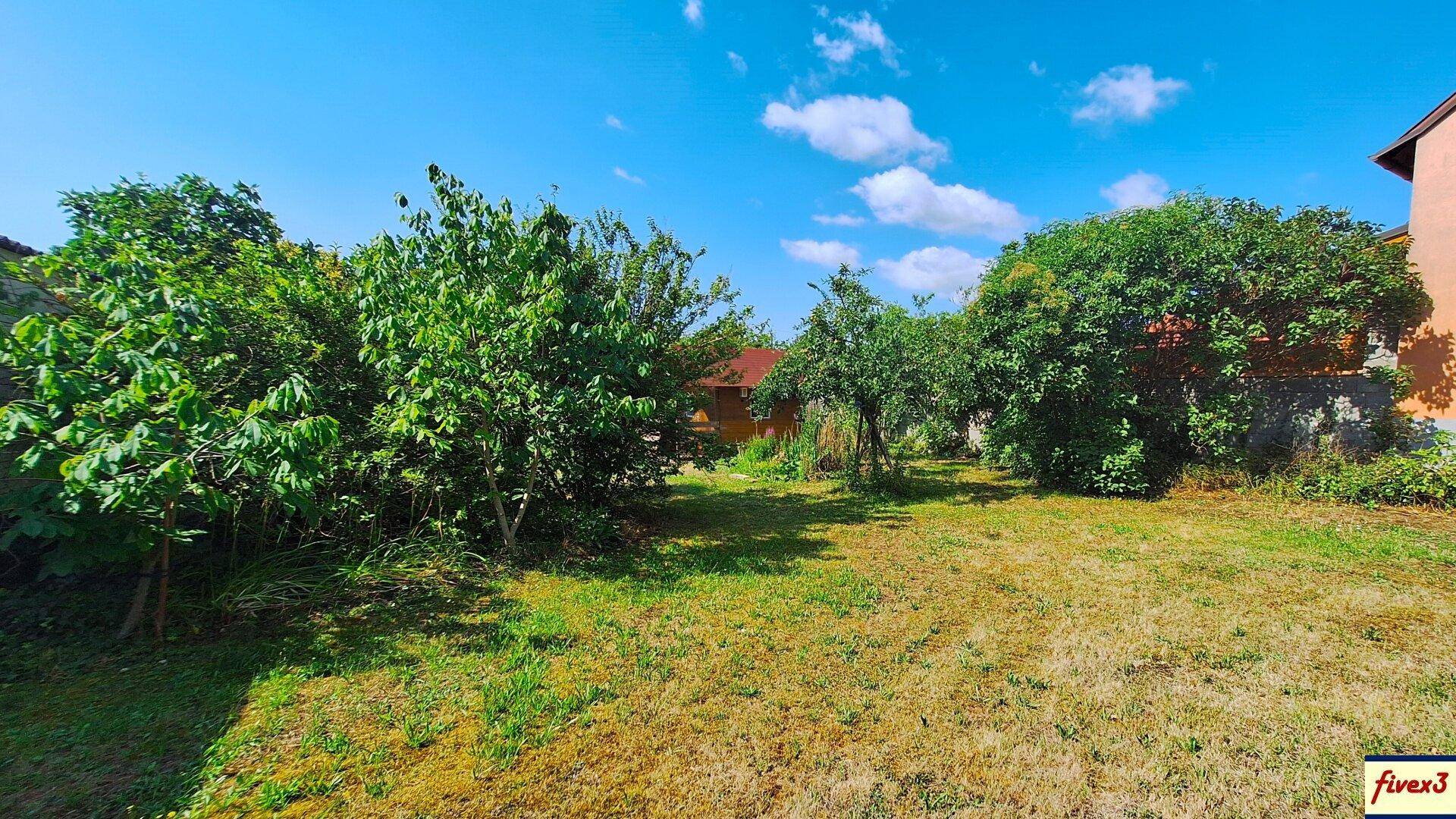 Weitläufiger Garten mit Rasenfläche und verschiedenen Bäumen unter blauem Himmel.