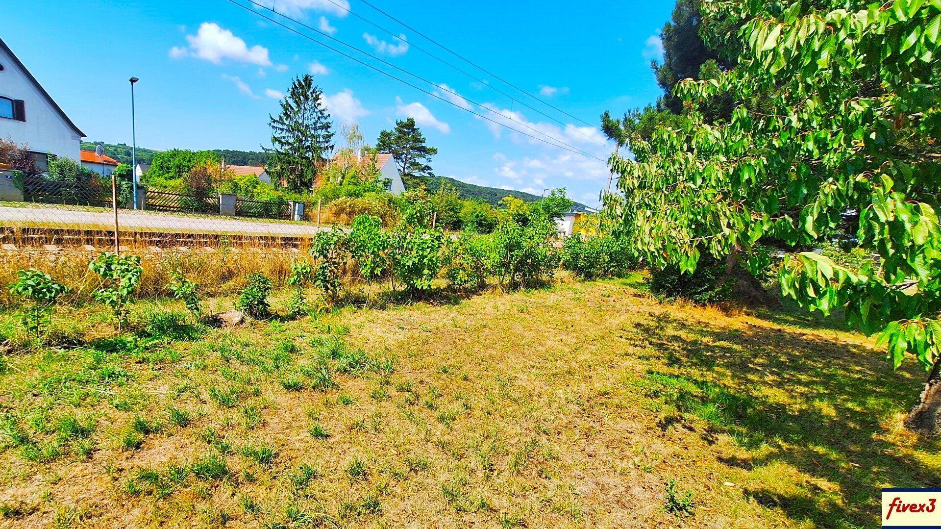 Offene Gartenfläche neben einer Straße mit jungen Bäumen und Häusern im Hintergrund.