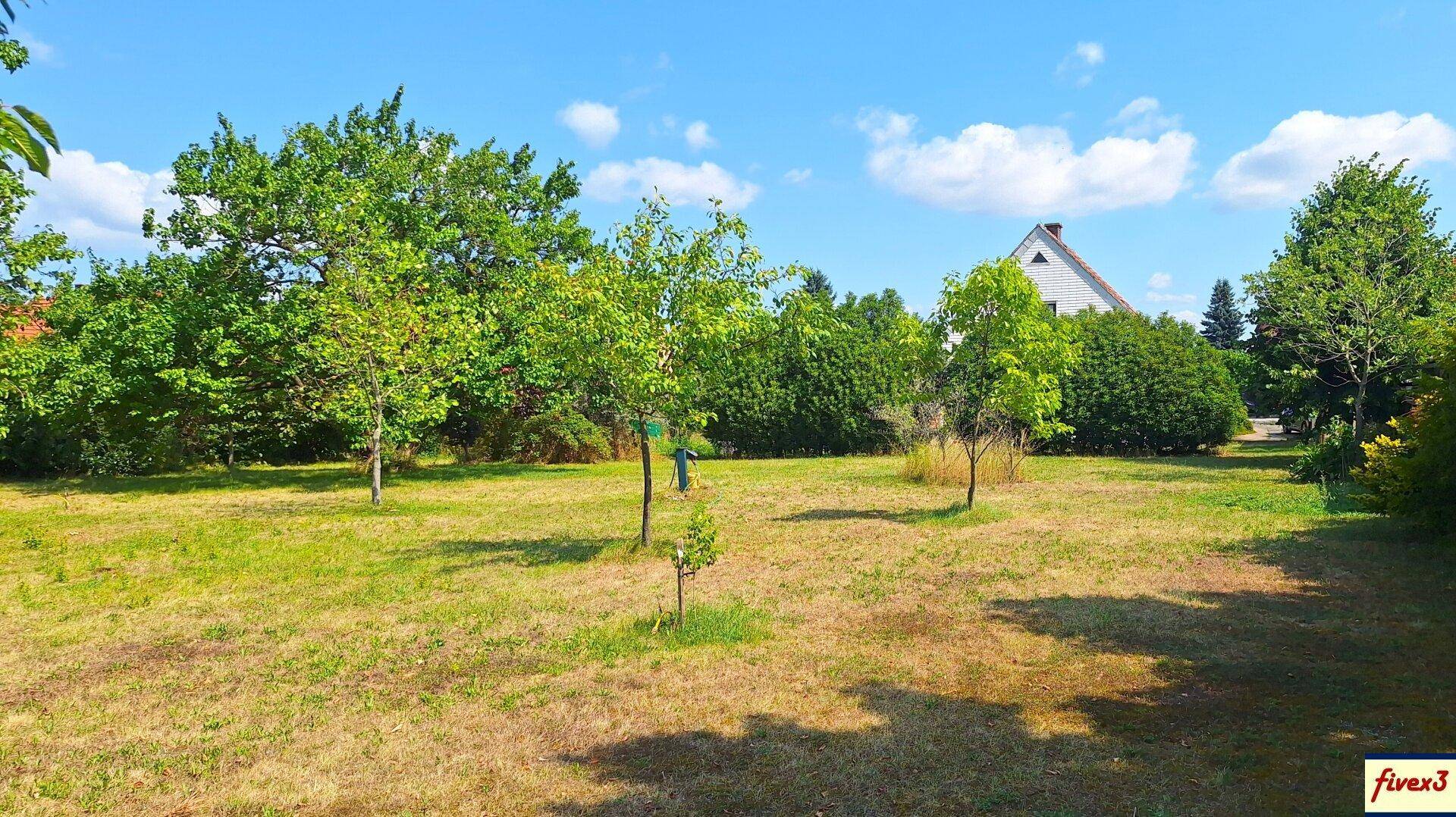 Großer Gartenbereich mit jungen Bäumen und einem Wohnhaus im Hintergrund unter blauem Himmel.