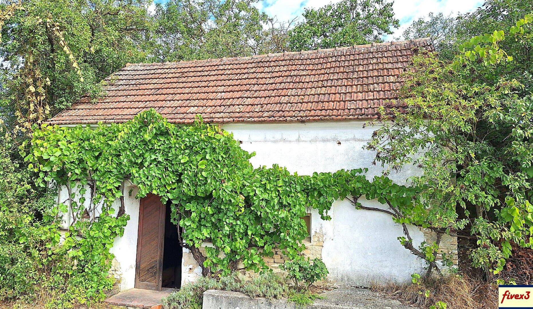 Altes Gebäude mit Ziegeldach und weiß getünchten Wänden, teilweise von Weinreben bedeckt, in ländlicher Umgebung.