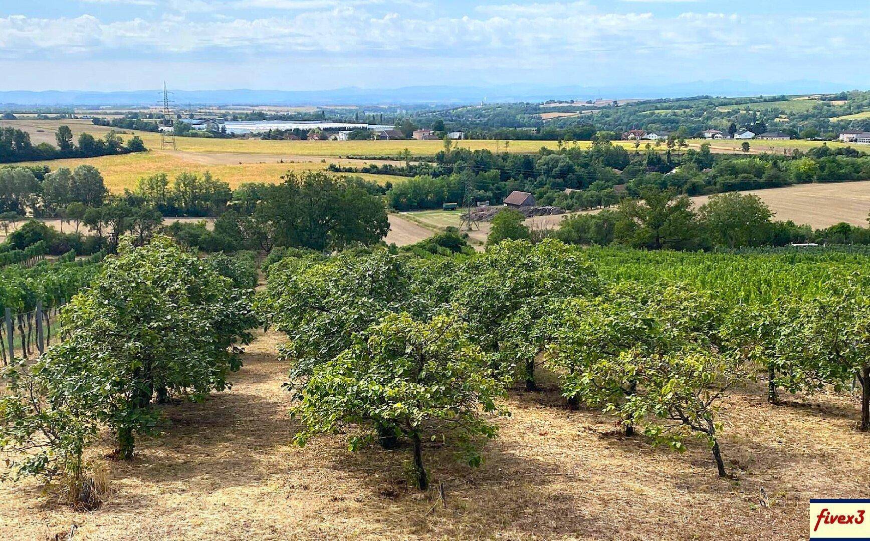 Panoramablick über eine weite Landschaft mit Obstplantagen, Weinbergen und Feldern unter einem bewölkten Himmel.