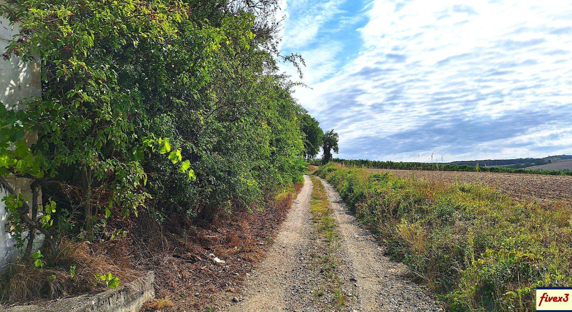 Schmaler Feldweg, gesäumt von üppigem Grün und Feldern, der sich in die ländliche Landschaft schlängelt.