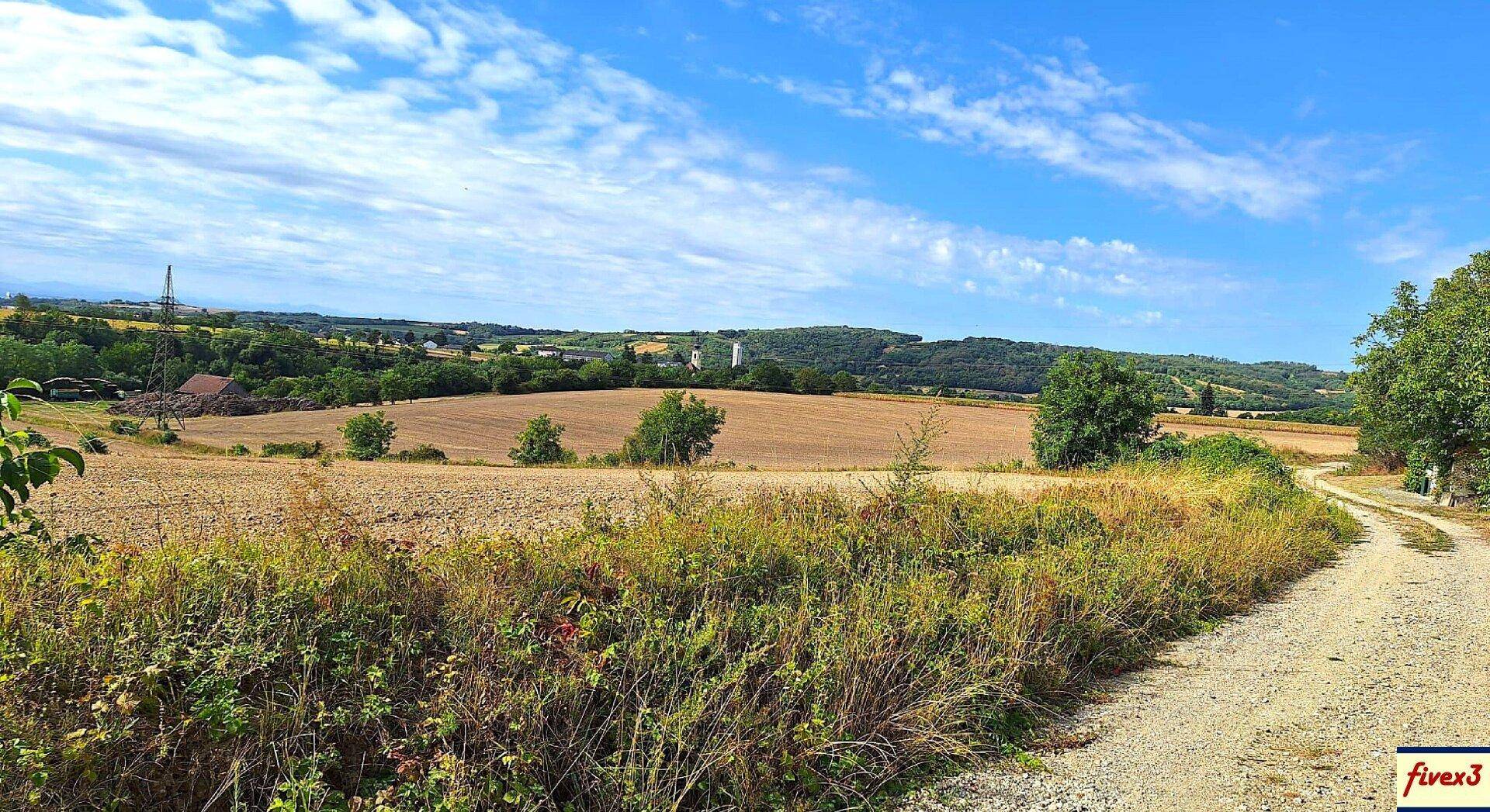 Weitläufige ländliche Landschaft mit Feldern und einem Feldweg unter einem strahlend blauen Himmel.