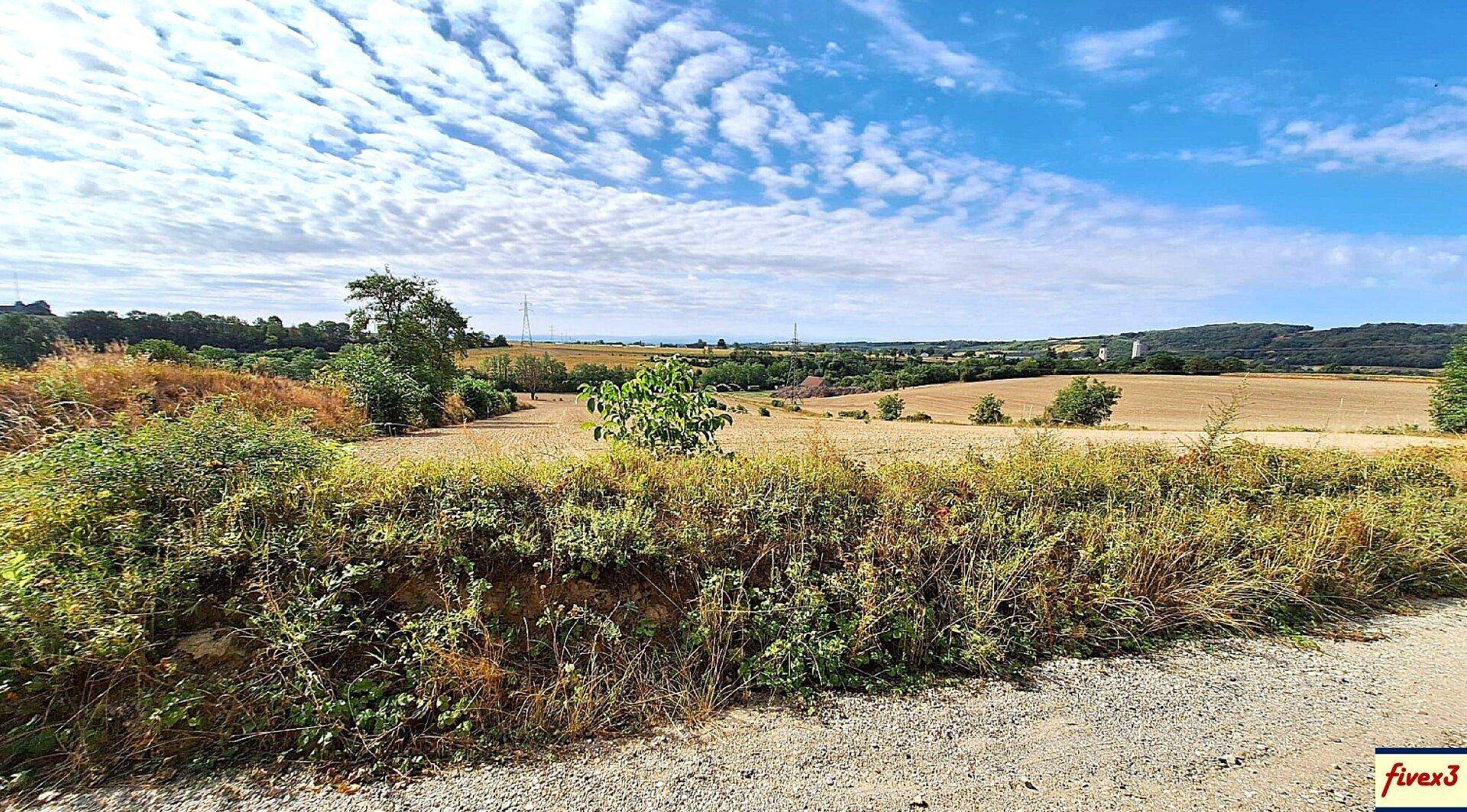 Panoramablick über eine weite, hügelige Landschaft mit Feldern und einem Feldweg unter blauem Himmel.