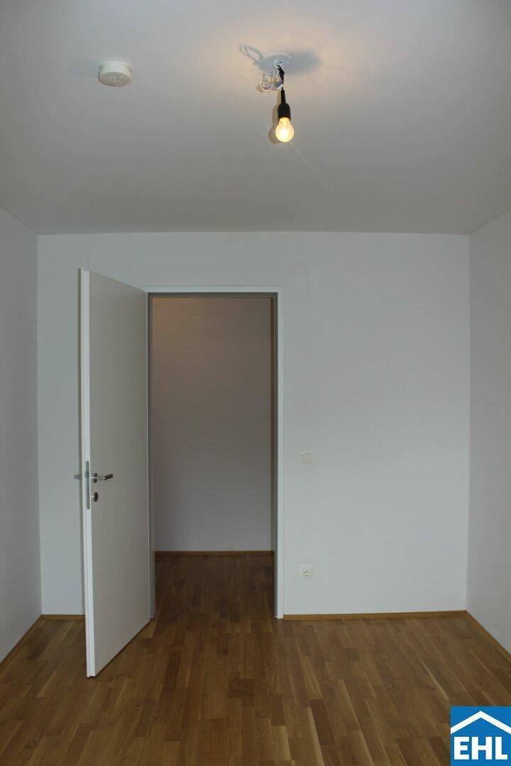 Zimmer 1.1