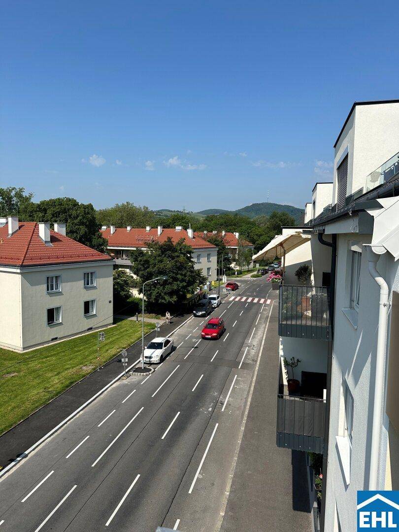 Weitläufige Ansicht einer Wohnstraße mit unterschiedlichen Gebäudetypen und grüner Umgebung.