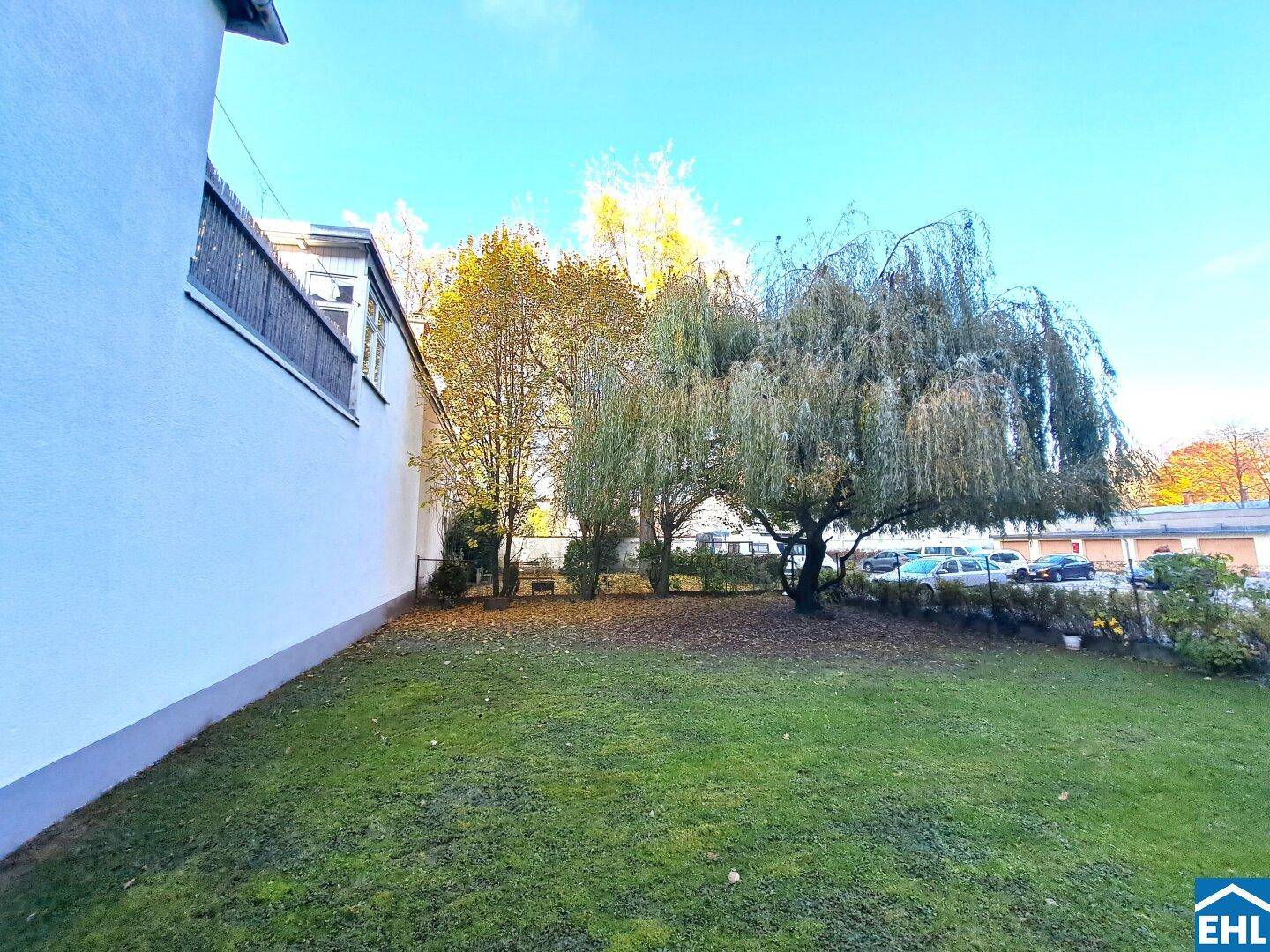 Grüner Gartenbereich mit altem Weidenbaum und angrenzender Gebäudewand.