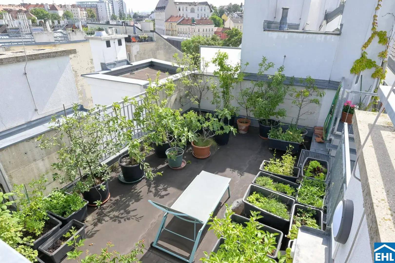 Begrünte Dachterrasse mit vielfältigen Topfpflanzen und einem kleinen Sitzbereich im Freien.