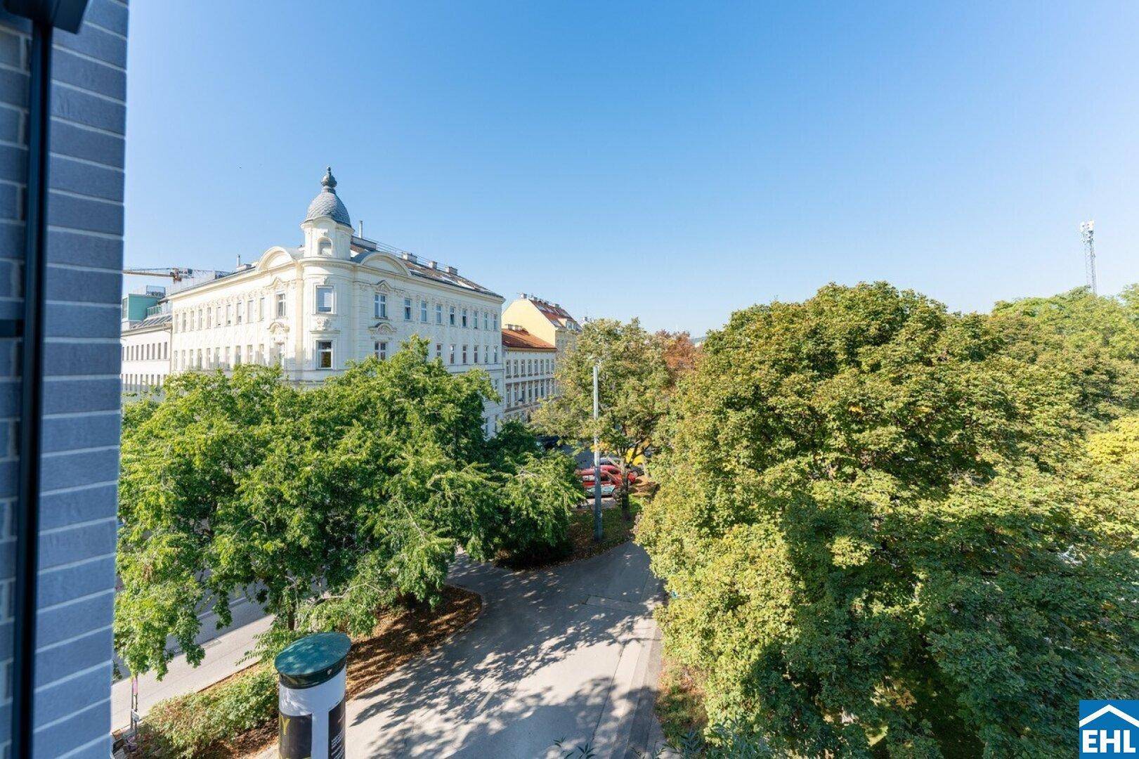 Blick aus einem Fenster auf eine von Bäumen gesäumte Straße und ein historisches Gebäude.