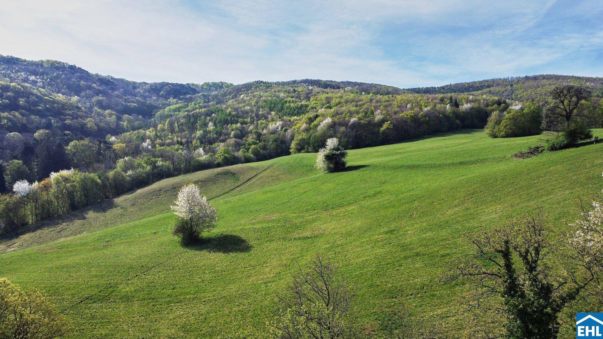 Ausblick