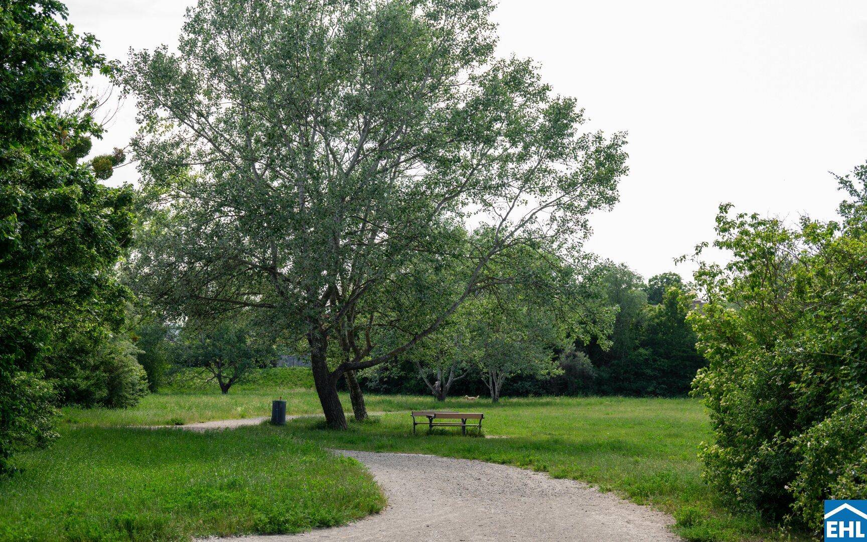 Umgebung