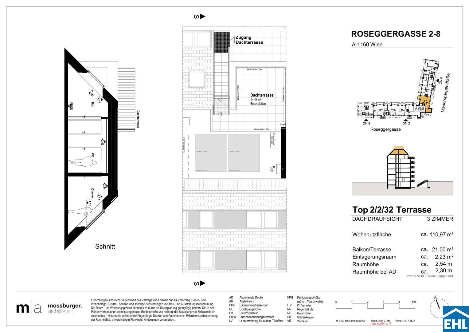 Dachaufsicht und Schnittansicht der Wohnung mit großer Dachterrasse und Zugang.