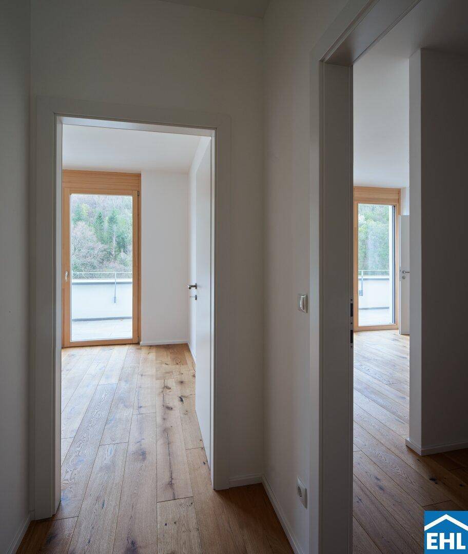 Zimmer1.1