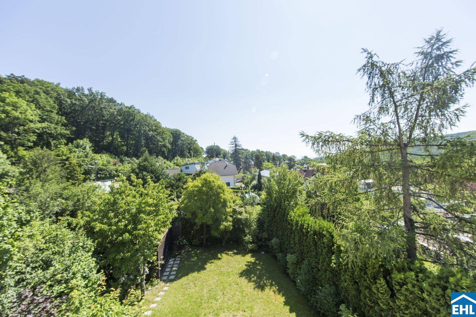 Weitläufiger Ausblick über den grünen Garten, umliegende Bäume und die Nachbarschaft.