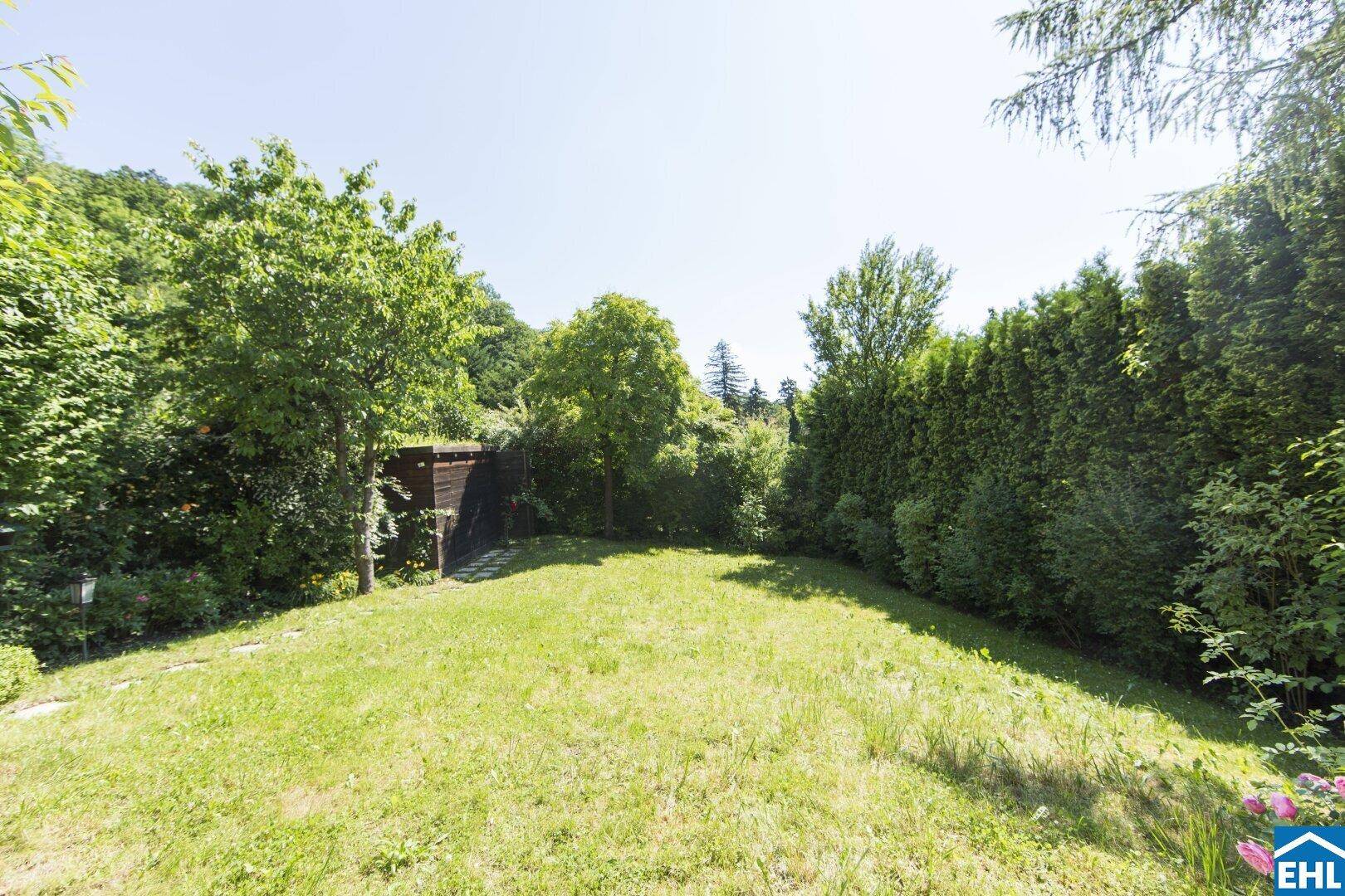 Weitläufiger Garten mit Rasenfläche, hohen Hecken und altem Baumbestand im Hintergrund.