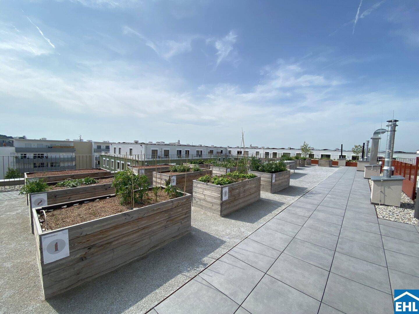 Dachterrasse mit Hochbeeten für einen urbanen Gemüsegarten und weitem Blick über die Umgebung.