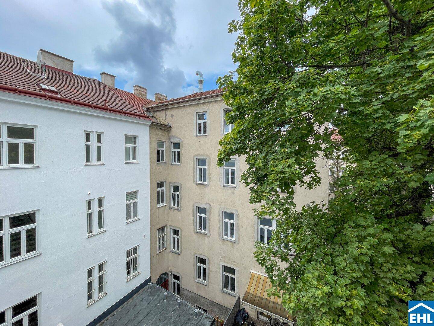 Blick aus dem Fenster auf einen begrünten Innenhof mit alten Gebäudefassaden und einem großen Baum.