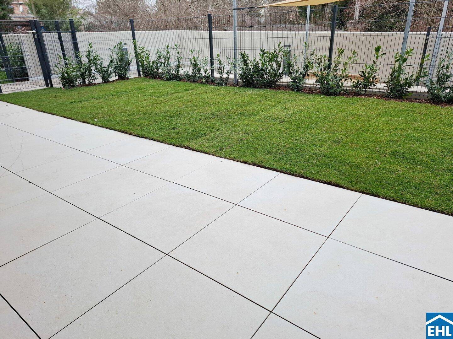 Gepflasterte Terrasse mit angrenzendem Rasen und junger Hecke, ideal für Entspannung im Freien.