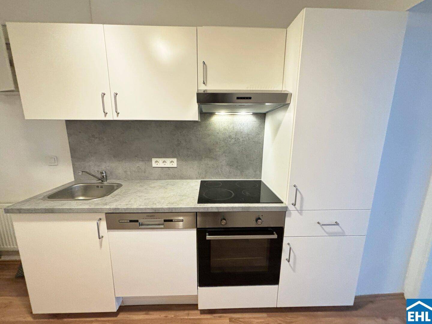Detailansicht der Einbauküche mit Spüle, Kochfeld, Backofen und integriertem Geschirrspüler.