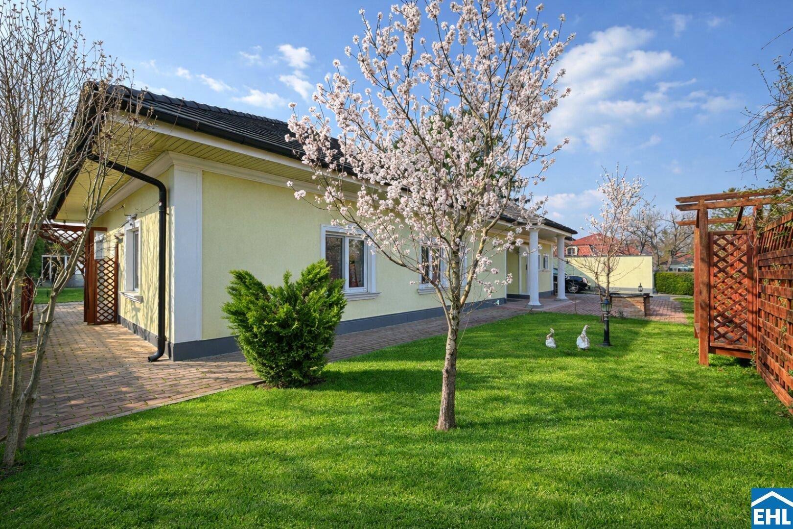 Sonnige Gartenansicht mit blühendem Baum, gepflegtem Rasen und dem Haus im Hintergrund.