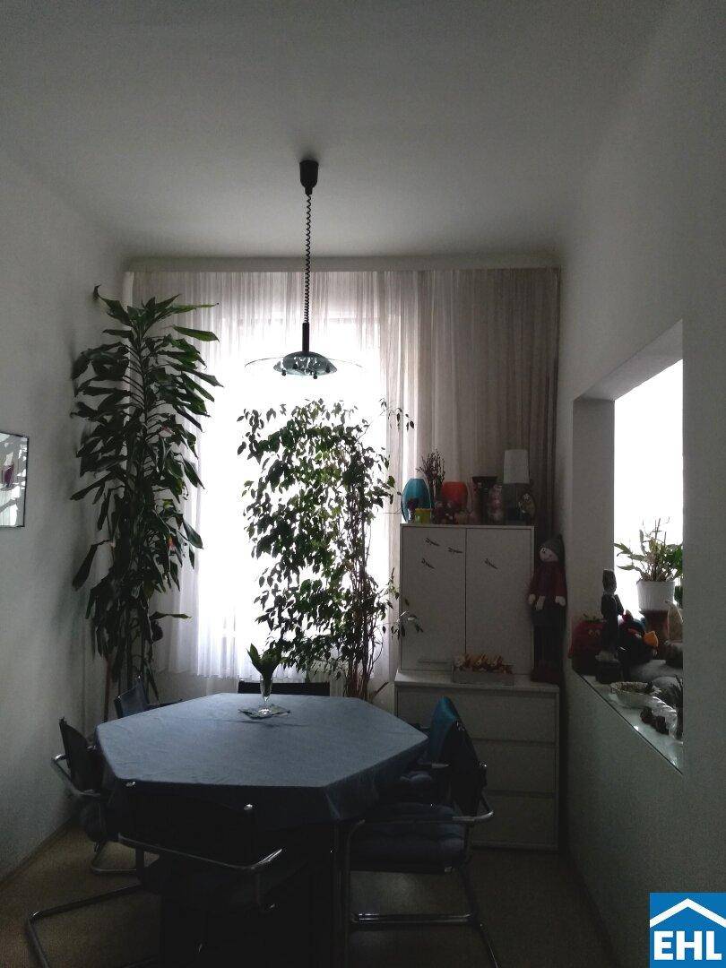 Gemütlicher Essbereich mit großem Fenster, viel Grünpflanzen und einem sechseckigen Tisch.
