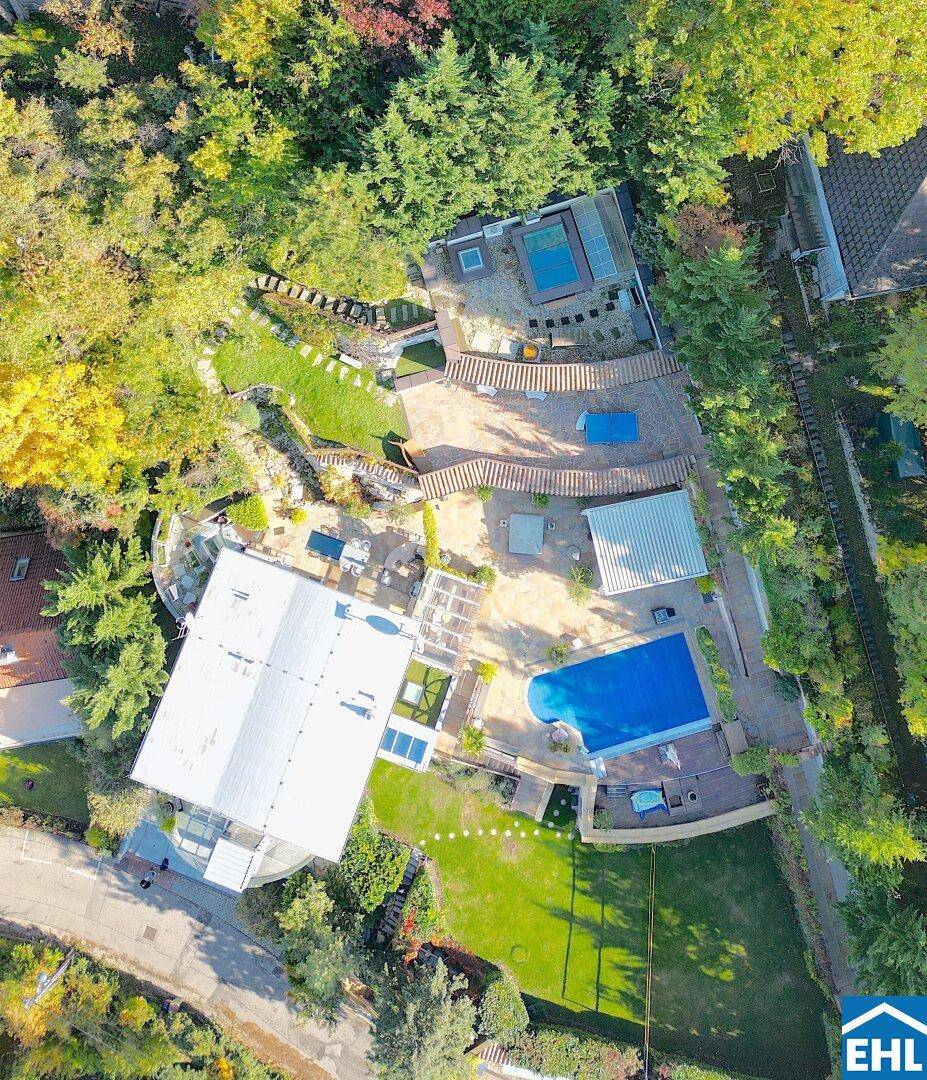 Vogelperspektive der weitläufigen Außenanlage mit Pool, Terrassen und gepflegten Grünflächen.