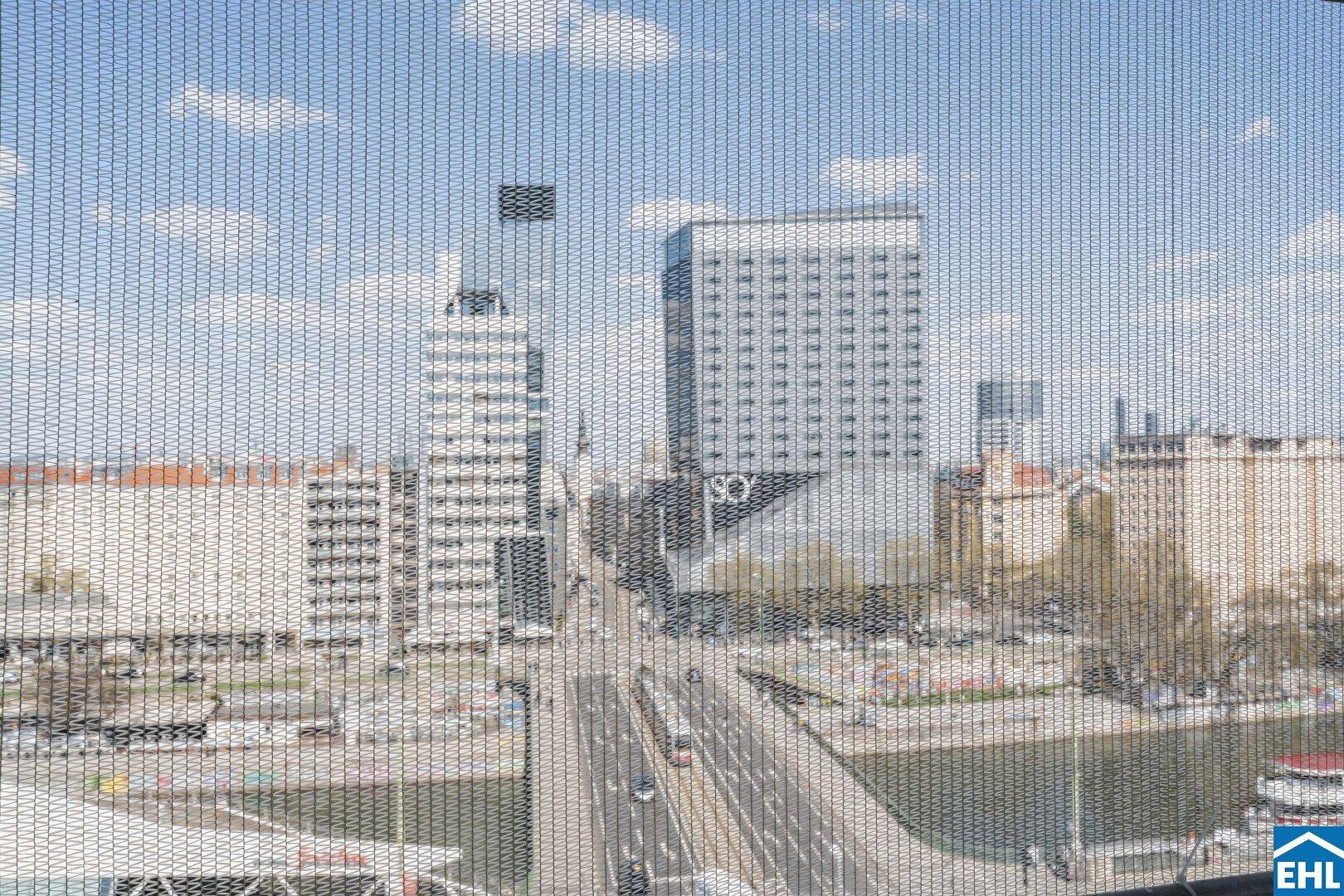 Stadtansicht mit Gebäuden und Fluss, gesehen durch ein Schutznetz.