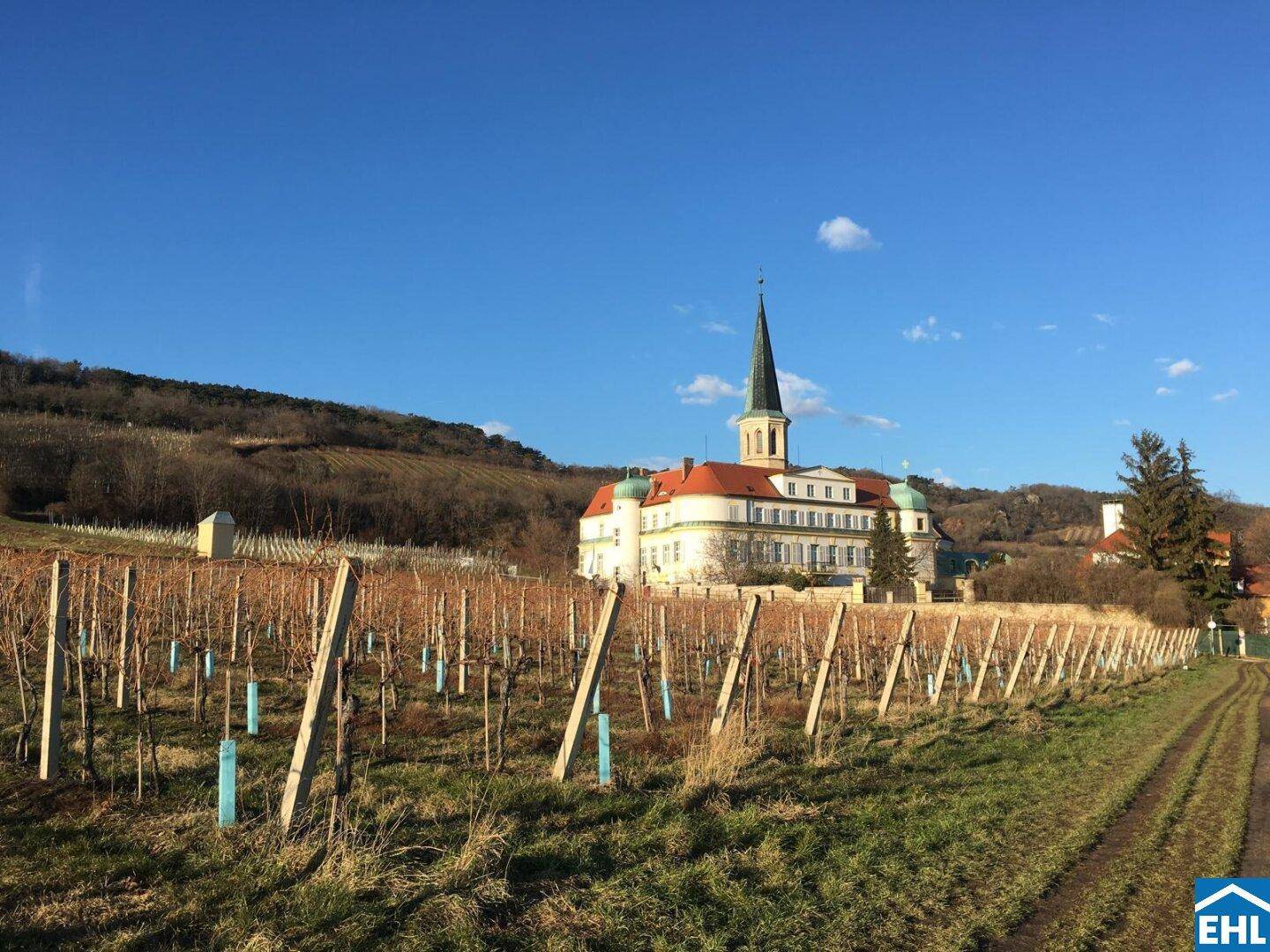 Herrschaftliches Gebäude inmitten weitläufiger Weinberge unter blauem Himmel und Sonnenschein.