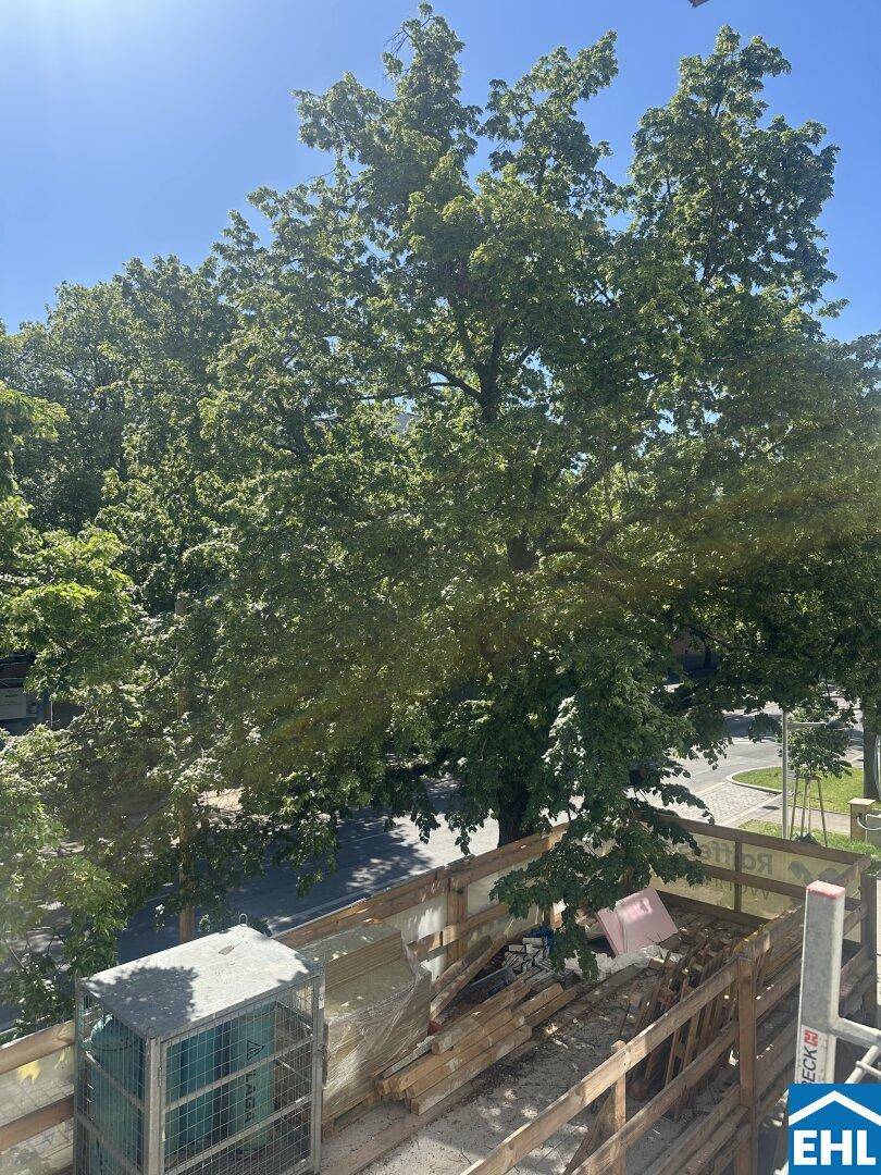 Aussicht von einer Baustelle auf eine von Bäumen gesäumte Straße an einem sonnigen Tag.