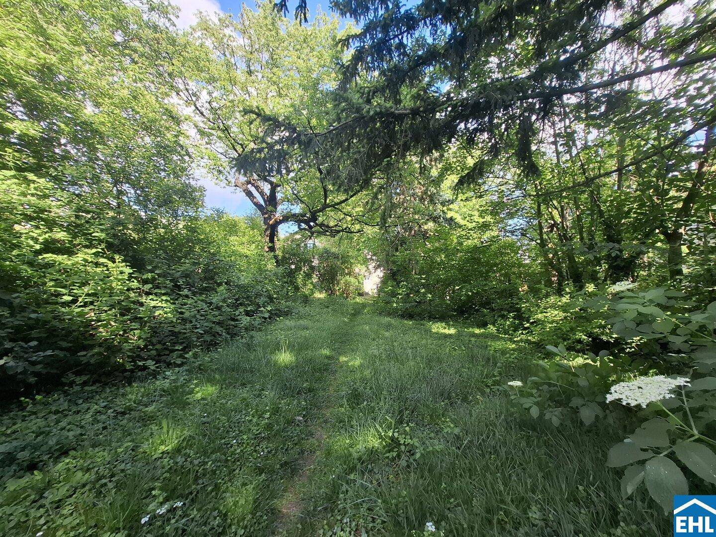 Grüner Gartenweg führt durch dichte Vegetation und hohe Bäume an einem sonnigen Tag.