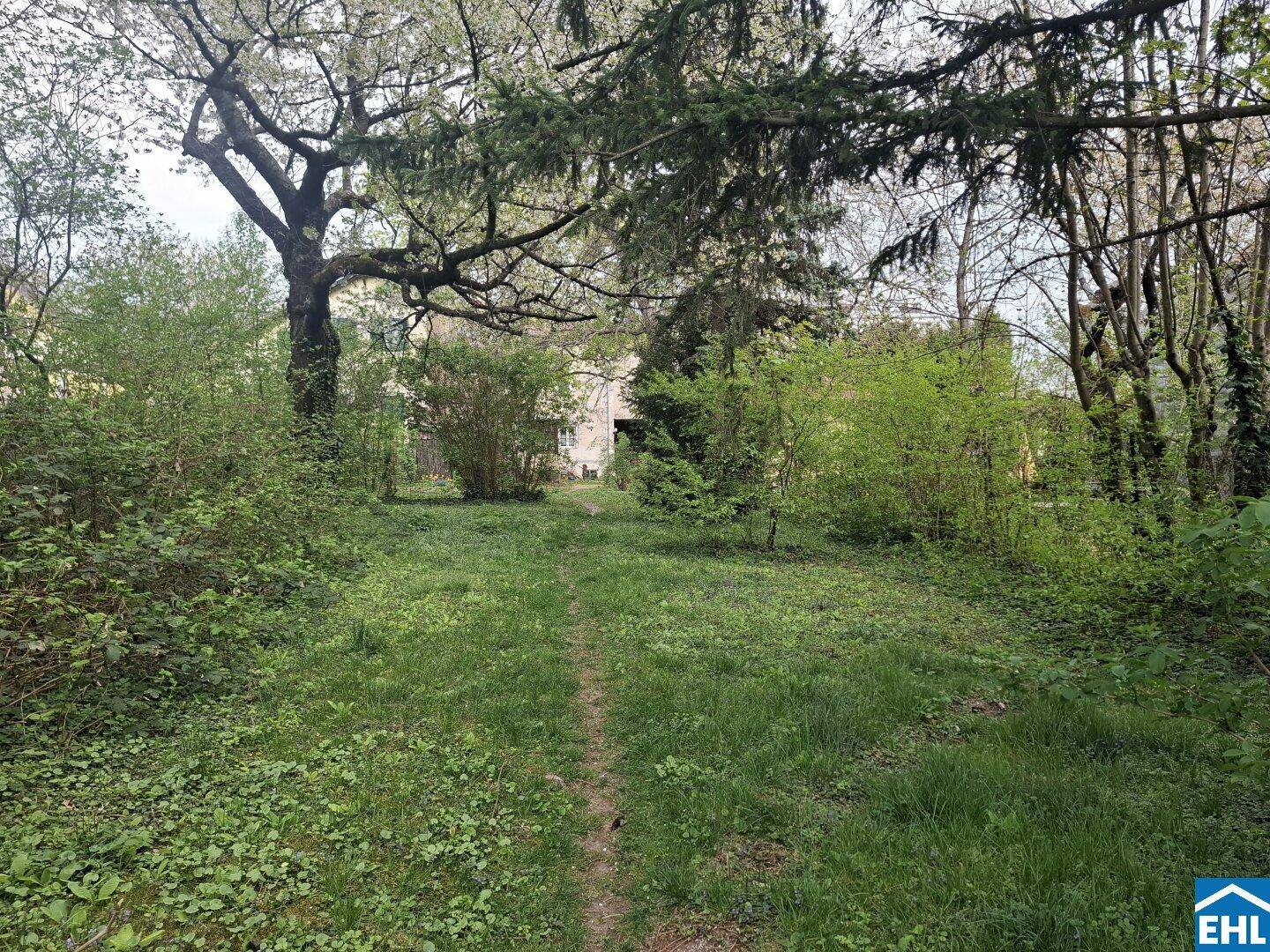 Verwilderter Gartenbereich mit einem Pfad, umgeben von Bäumen und Sträuchern, im Hintergrund ein Gebäude.