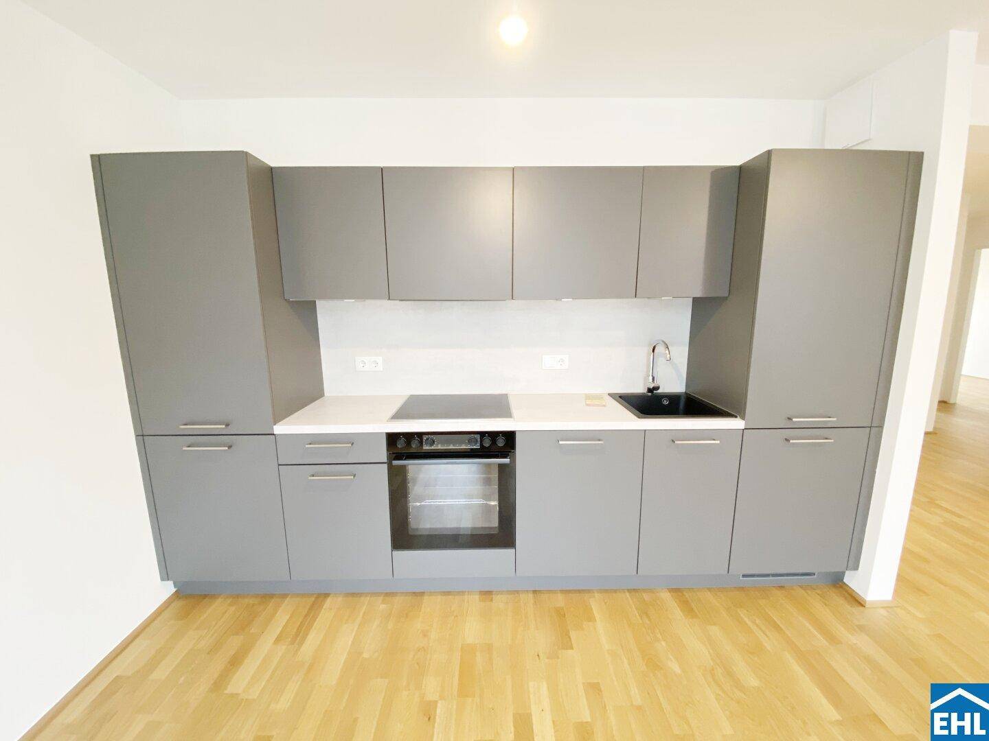 Moderne Küchenzeile in Grau mit integriertem Backofen, Kochfeld und Spüle.