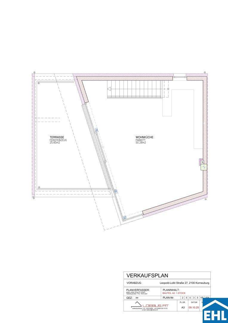 Grundrissplan des Erdgeschosses mit großer Wohnküche und angrenzender Terrasse.