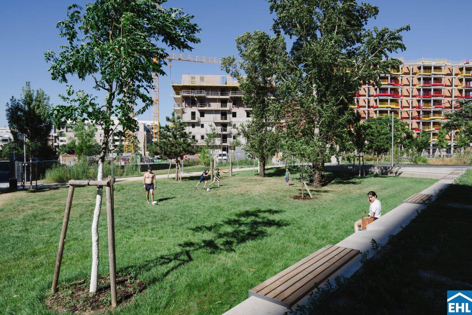 Grüne Parkanlage mit Rasenflächen und Bäumen, umgeben von modernen Neubauten im Bau.