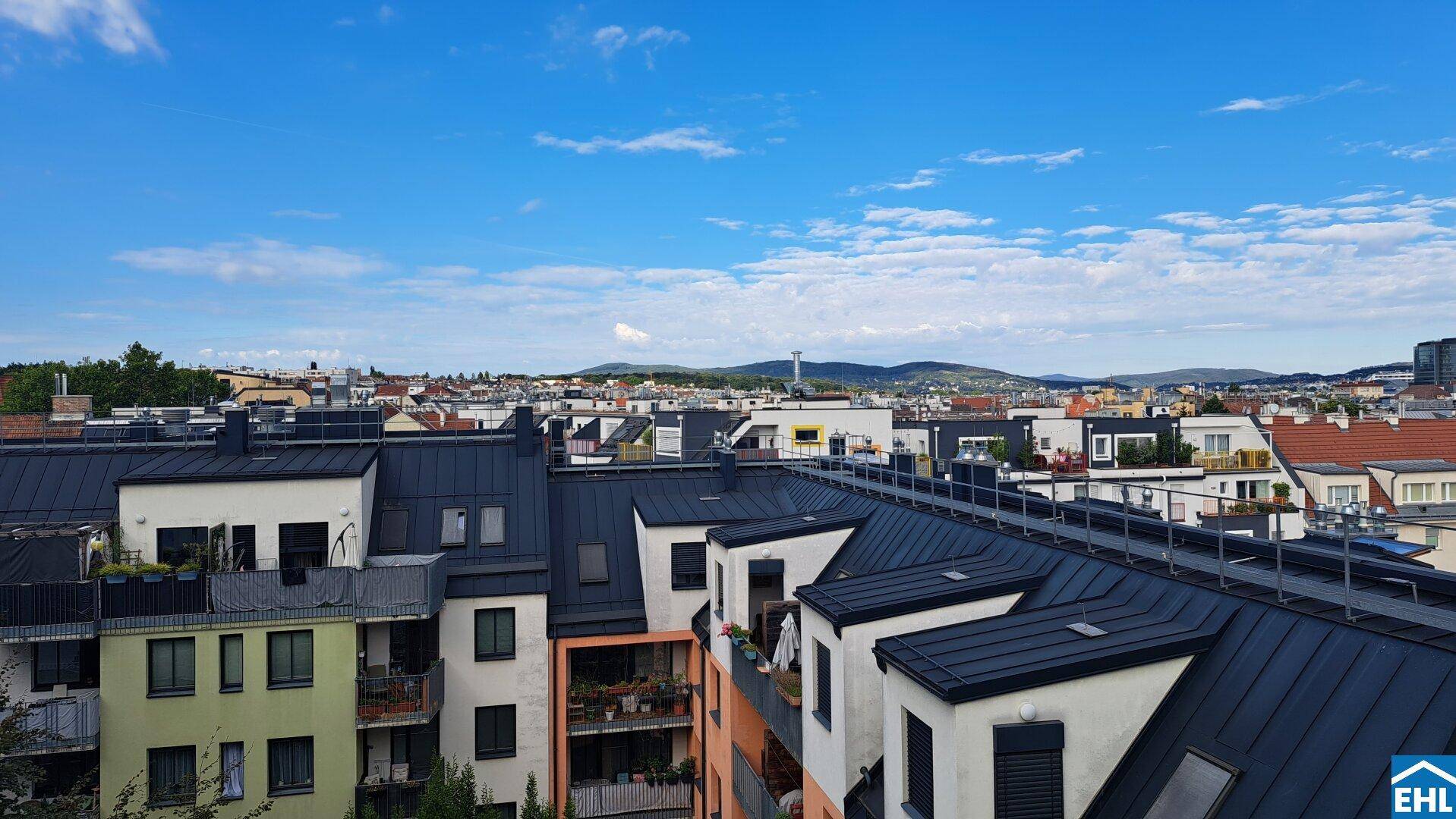 Ausblick über die städtische Dachlandschaft mit verschiedenen Gebäuden und Dachformen.