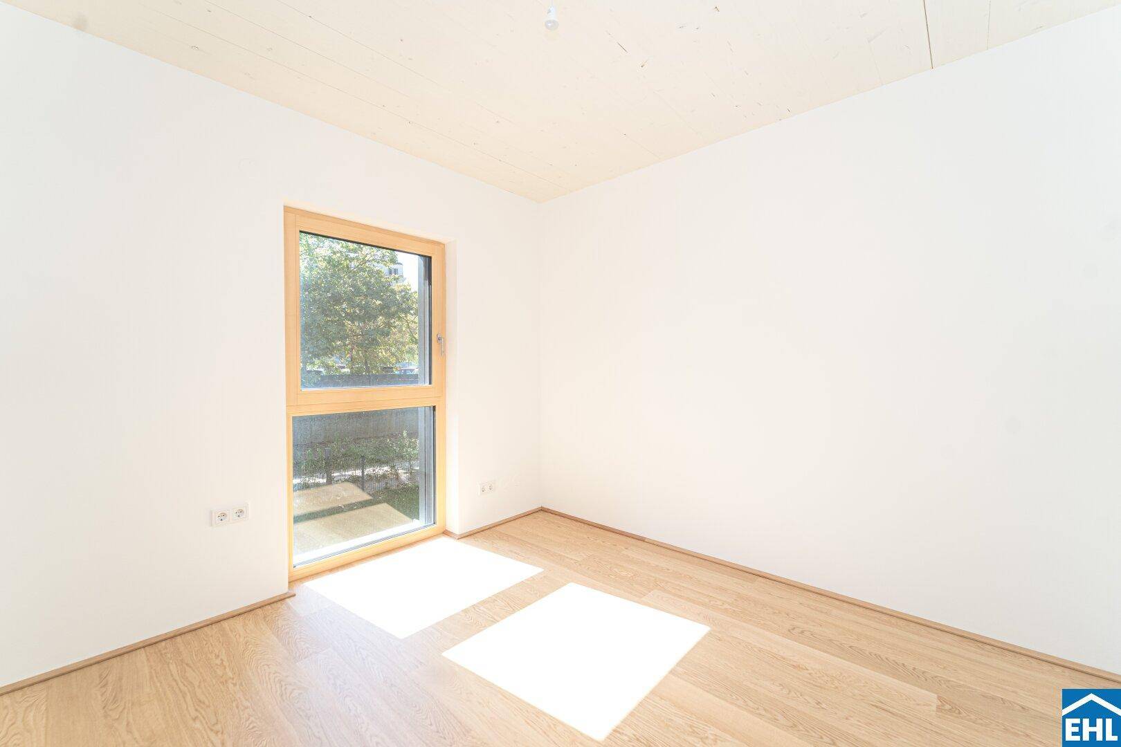 Sonniger, leerer Raum mit Holzboden und großem Fenster, das viel Tageslicht spendet.
