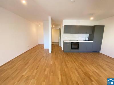 1-Zimmer-Wohnung, 38 m², Balkon, Simmering, Simmering