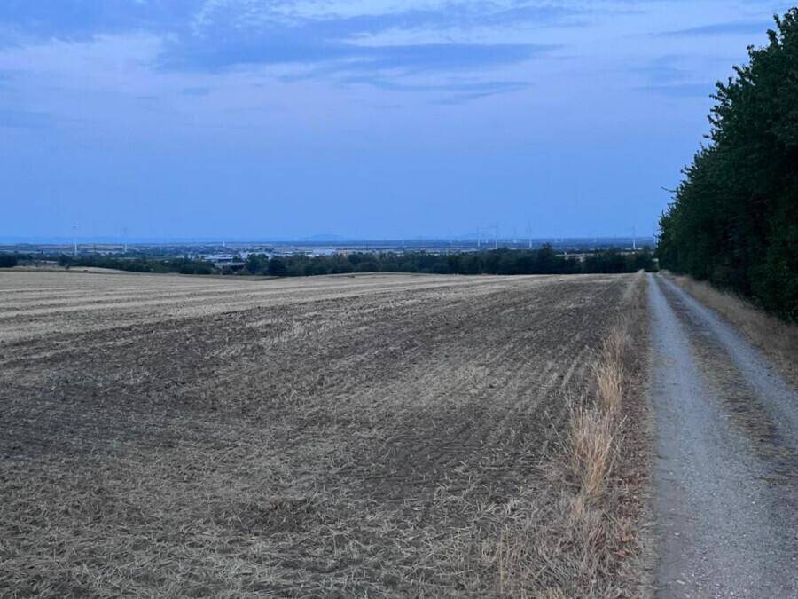 Ein Feldweg neben einem abgeernteten Feld, mit Bäumen und Windrädern in der Ferne unter blauem Himmel.
