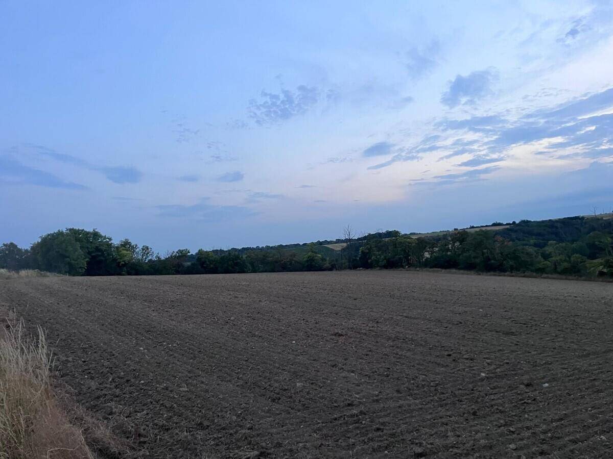 Bearbeitetes Feld unter einem dämmrigen Himmel, mit einer Baumreihe am Horizont.