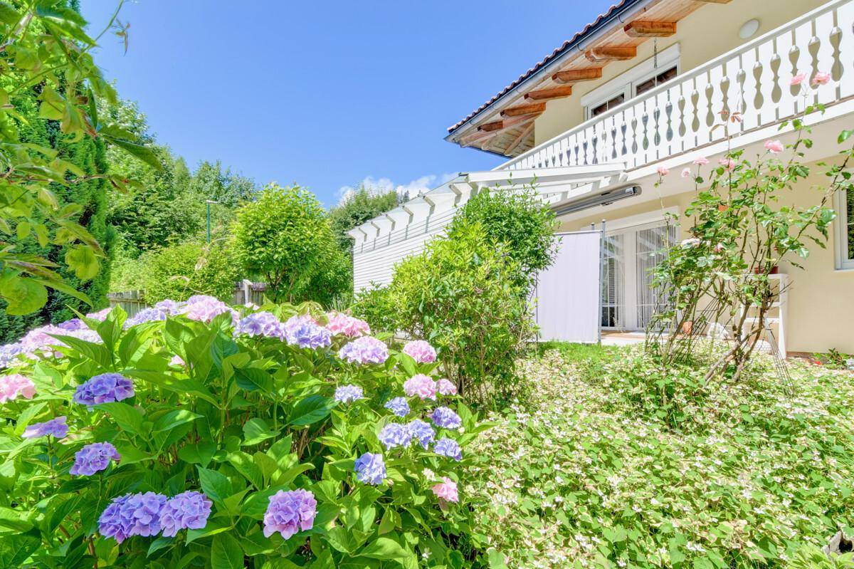 Blühender Garten mit Hortensien und sonniger Terrasse am Haus.