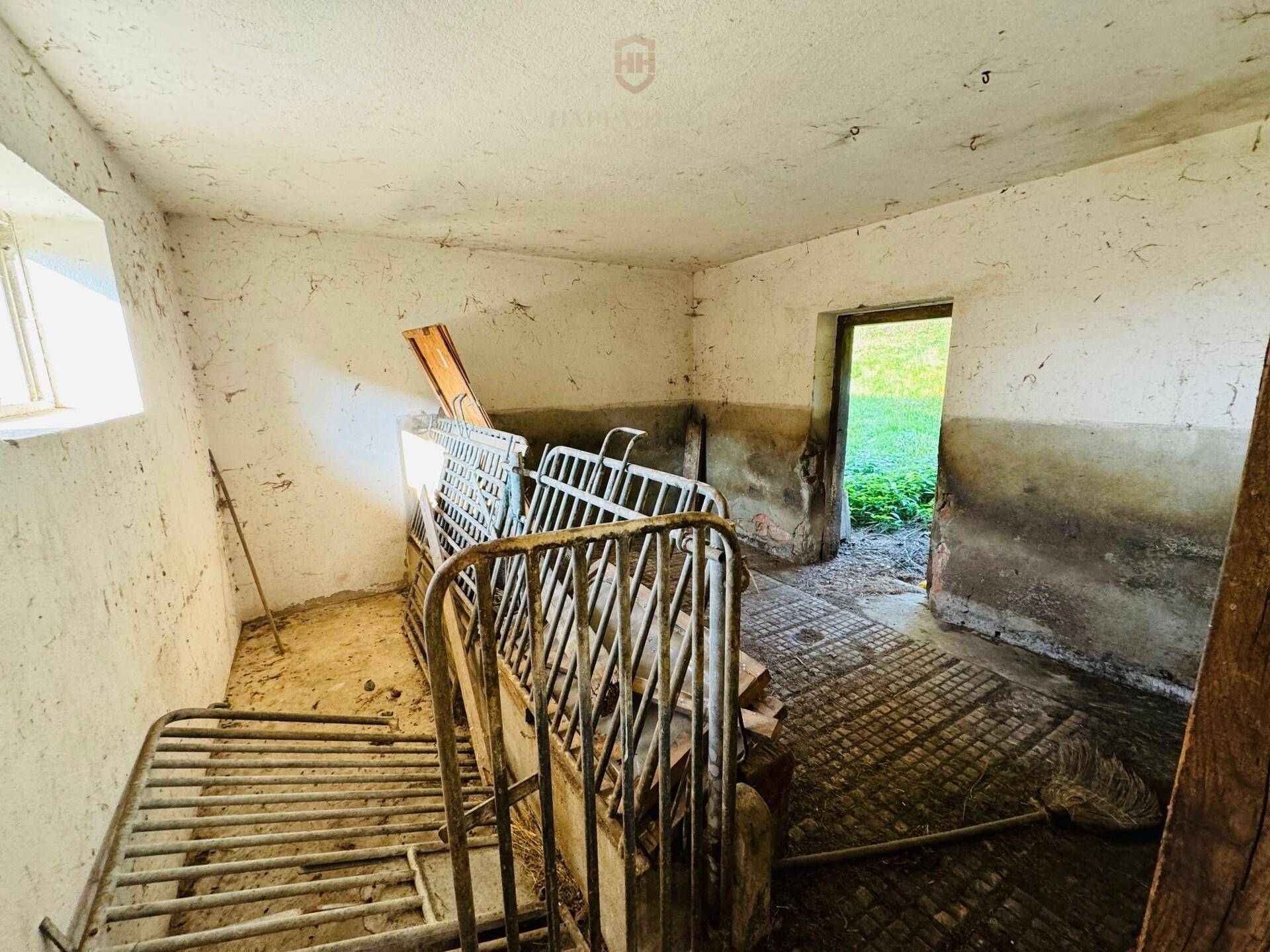 Alter Stallbereich mit Metallgittern und Zugang zum Außenbereich, renovierungsbedürftig.