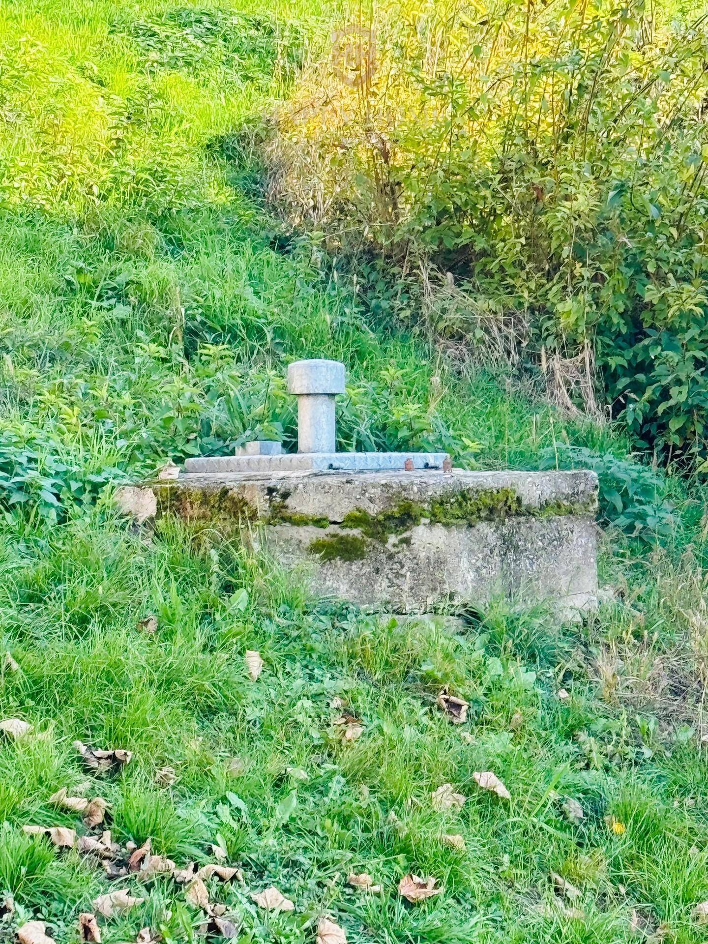 Betonstruktur oder Brunnen in einer grünen Wiese, umgeben von üppiger Vegetation.