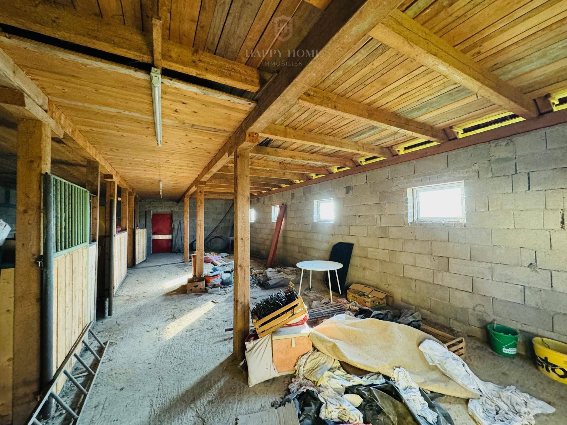 Großer Stallraum mit Betonwänden und Holzdachkonstruktion, bietet viel Platz.