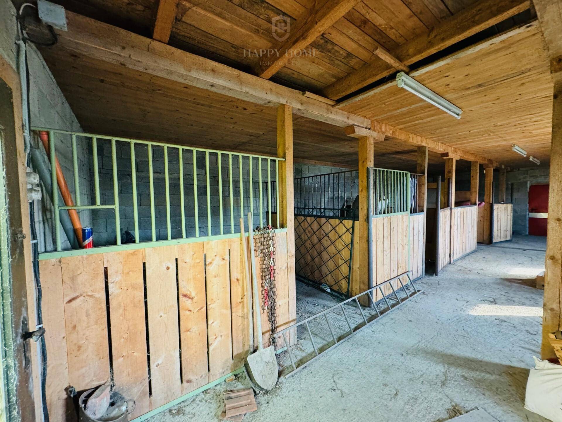 Geräumiger Stallbereich mit Holztrennwänden und Betonboden, bereit für Tierhaltung oder Umbau.