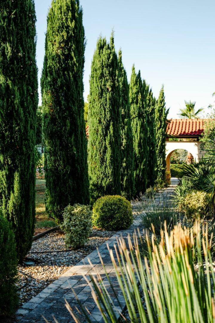Gepflasterter Gartenweg, gesäumt von hohen Zypressen und mediterranen Pflanzen unter blauem Himmel.