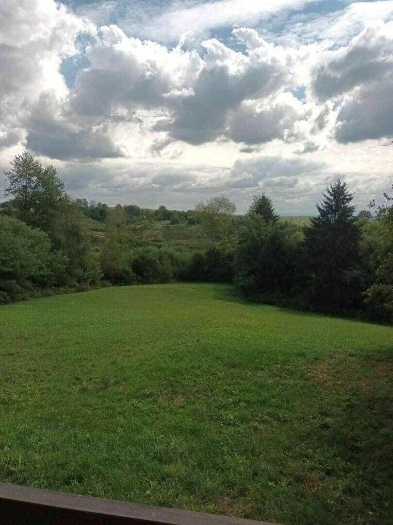 Weitläufiger Blick von einem Balkon über eine grüne Wiese und bewaldete Hügel.