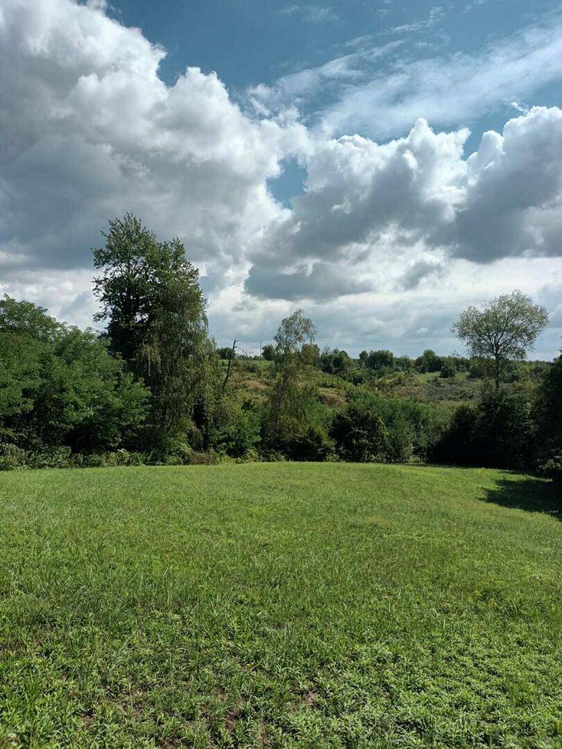 Idyllische Landschaft mit weiten grünen Wiesen und bewaldeten Hügeln unter blauem Himmel.