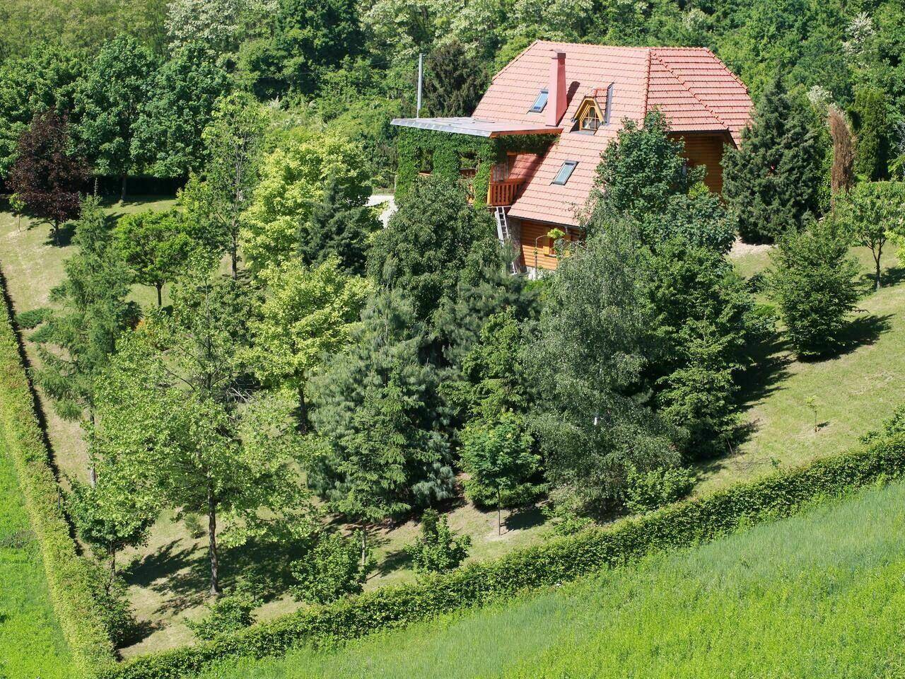 Luftaufnahme des Holzhauses, eingebettet in eine grüne Landschaft mit vielen Bäumen.