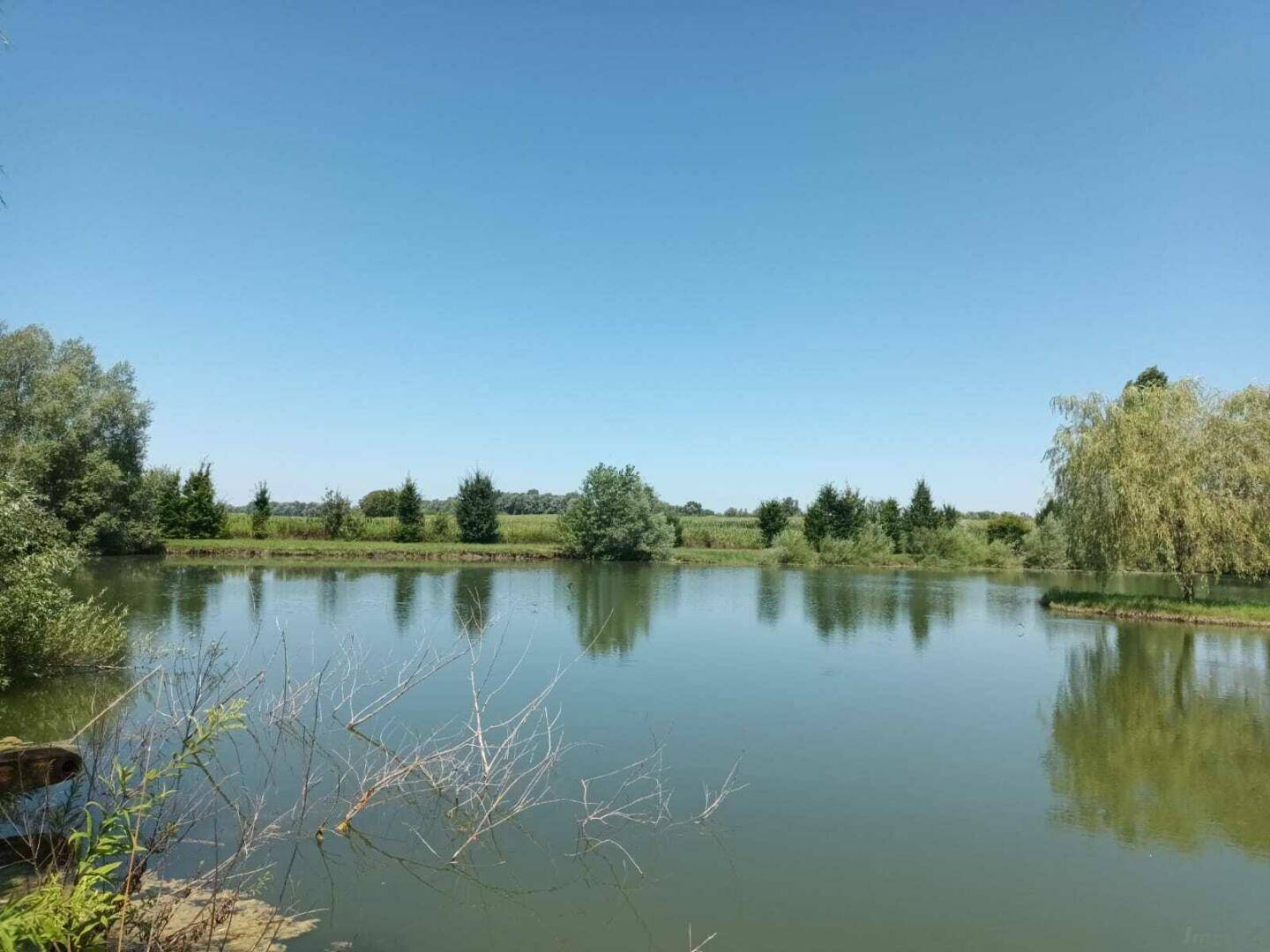 Weitläufiger See unter klarem blauem Himmel, umgeben von üppiger grüner Vegetation und Bäumen am Horizont.